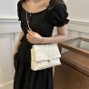 Mujeres Medio Cuero Sintético Color Sólido Estilo Vintage Estilo Clásico Cuadrado Hebilla Magnética Bolso Bandolera
